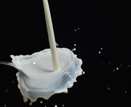 Mleko migdałowe – jakie wybrać najlepsze?